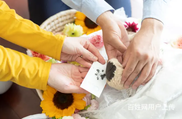 沈阳地区铁西区#沈阳宠物殡葬#缘分268 - 图片 2