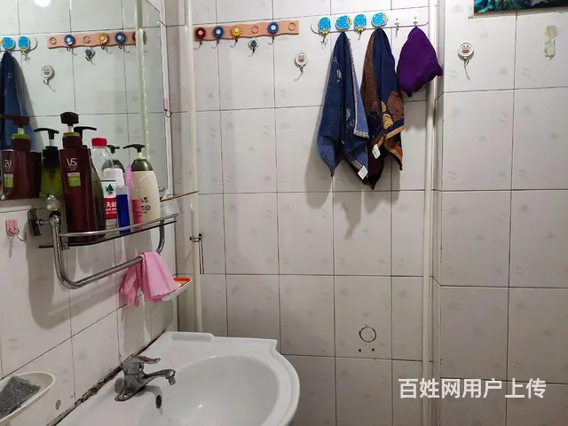 常年出租 - 图片 7