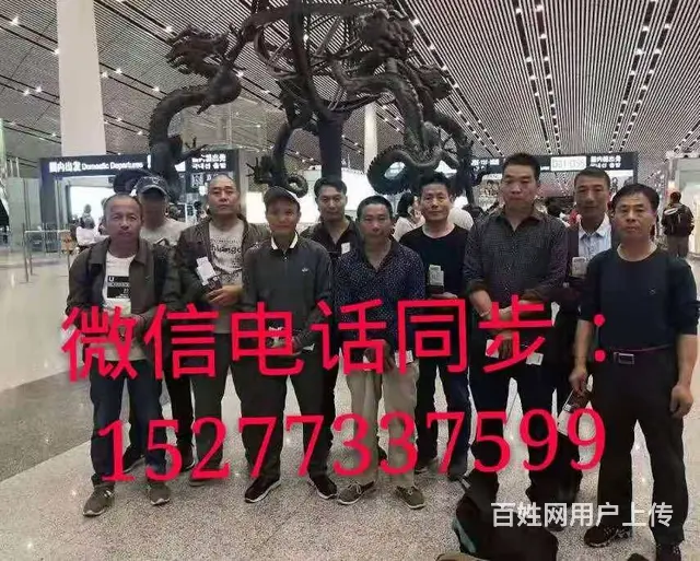 正规出国打工/急招空间大 - 图片 5