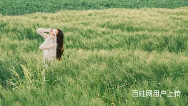 延吉去长白山旅游包车租车带司机价格多少钱 - 图片