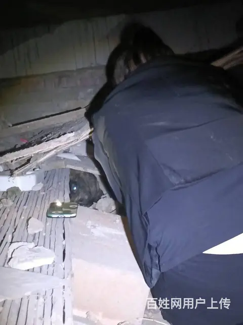 猫咪在外面跑丢了怎么找回来专业找猫团队找不到要付钱 - 图片 8