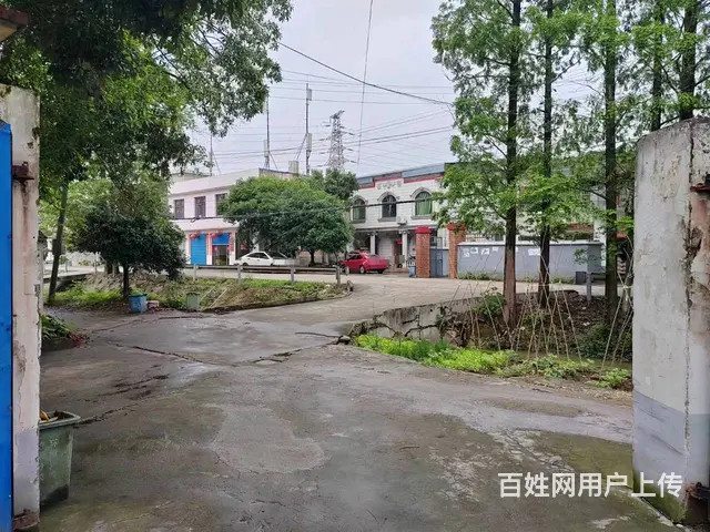 （老板本人）开福区捞刀河凤羽村独门独院仓库出租  6360 - 图片 8