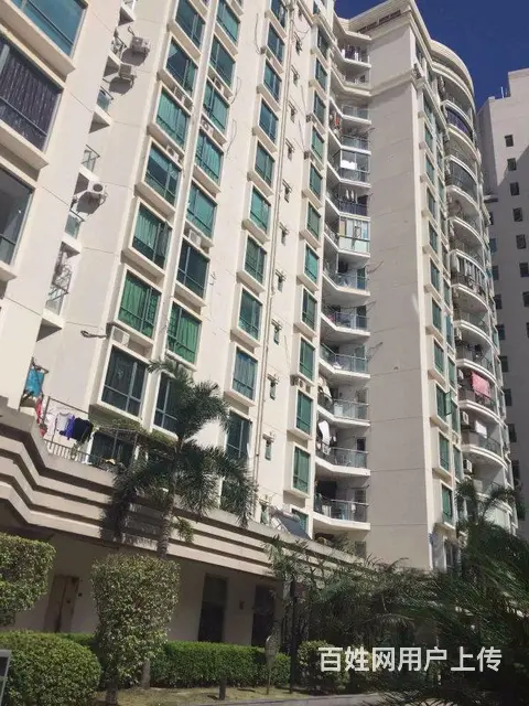 思北 鹭江道 一房多套 独卫 华侨海景城旁 包物业宽带 - 图片 10