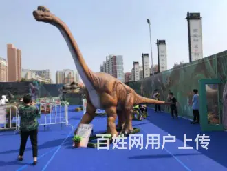 军事模型出租 大型军事铁艺模型定制公司 - 图片 3
