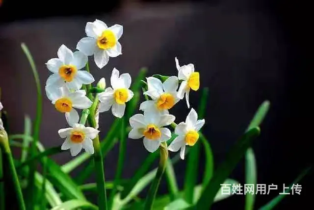 郑州市消防一转让，河南市政二电力二级资质转让 - 图片 2