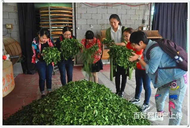福州茶艺培训 - 图片 8