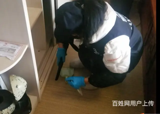 永州零冷两区日常保洁，深度保洁，开荒，收纳，消毒 - 图片 12