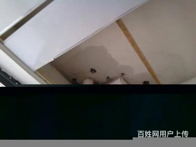 盐都墙面堵漏,卫生间专业补漏维修 - 图片