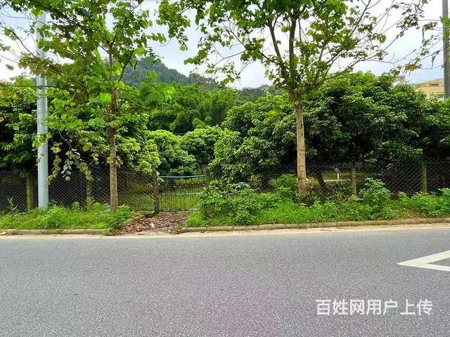 从化区桃花小镇旅游区附近1.5亩平地果园整体转让 - 图片 8