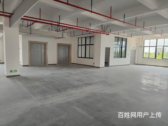 出租晋江英林12000方服装厂房价格优惠政府园区 - 图片 2