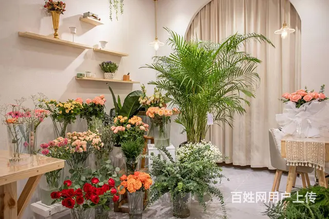 （同城乐铺推广）丽彩珠泉广场29平花店转让，客源稳定 - 图片 7