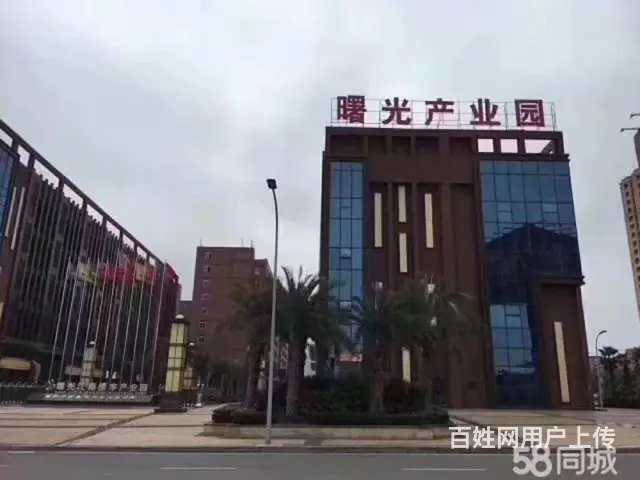 巴南界石曙光江南都市工业园1244平米标准厂库房出租，配套齐 - 图片 5