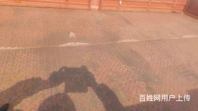 【搞定了！】福田奥铃 4米2平板 - 图片 4
