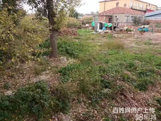 道里机场路二手车市场蒋化屯厂房出售 - 图片 6