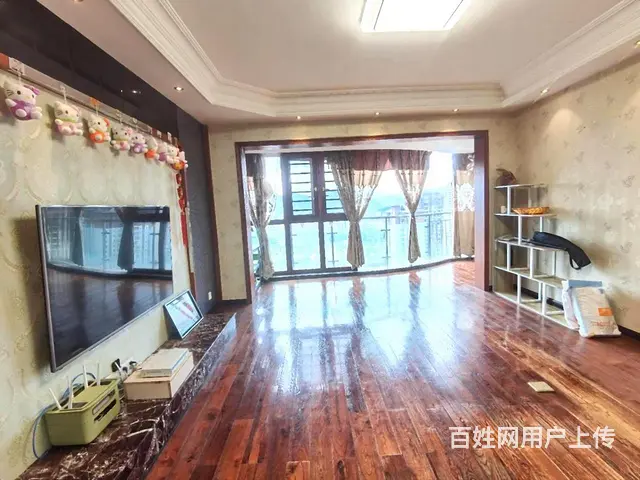 急卖！区政府 白金   电梯精装大四房 满二 正常首付 - 图片 3