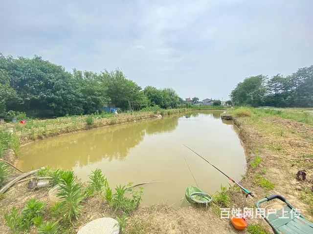 开福大道10亩坪，可做农家乐，花园，露营，种植养殖基地 - 图片 7