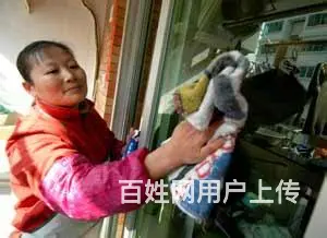 长春市家政公司哪家最好 - 图片 4