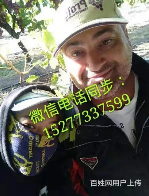 广纳出国劳务高工资/待遇好 - 图片 2