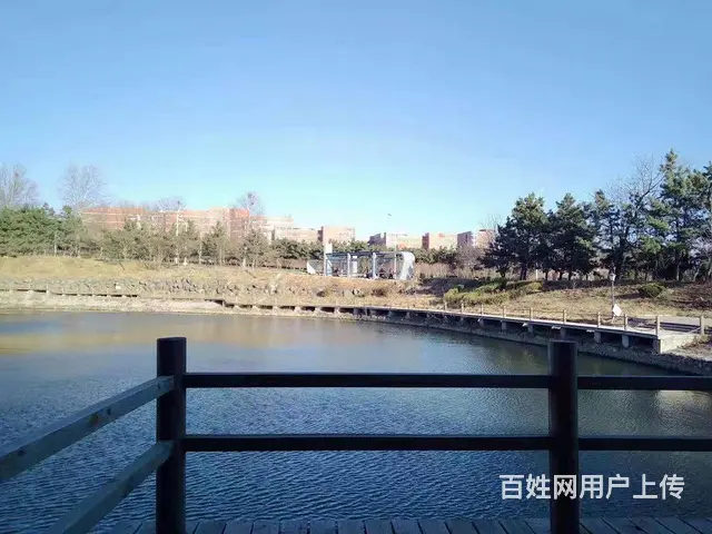 荣成市府旁东方红金海湾一线海景，精装修交房，向阳坡地 - 图片 12