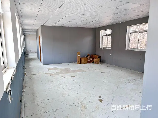（新房源）初村独门独院一楼厂房出租 - 图片 4