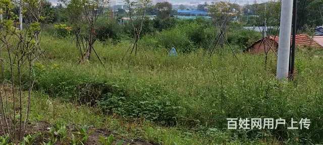 【搞定了！】出租桥北金丰小区取暖好两个卧室、客厅都朝阳 - 图片