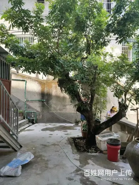 常乐酒堡 普通住宅1厅 精装修 - 图片 10
