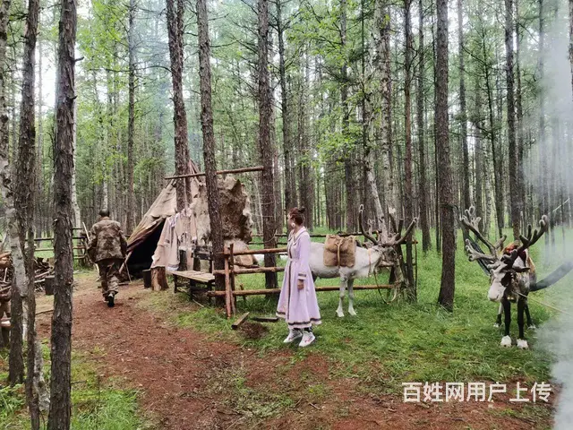 呼伦贝尔旅游向导师傅排名小康师傅 - 图片 1