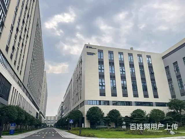 出租温江金马医学城医药器械电子信息研发中试生产大平层厂房 - 图片 4