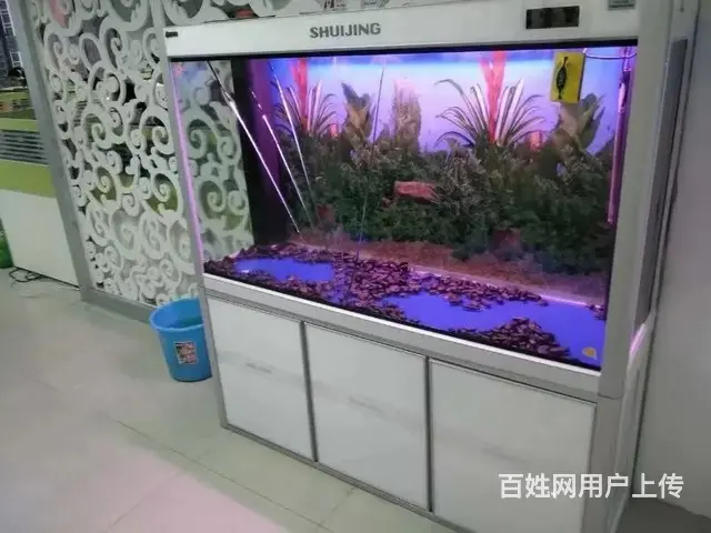 全昆明免费上门鱼缸清洗 鱼缸造景 鱼缸维修 - 图片 8