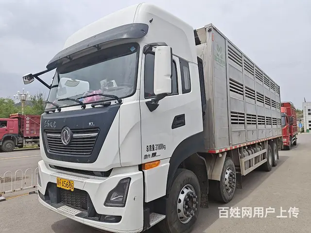 东风天龙    拉猪专用车  国6 - 图片 2