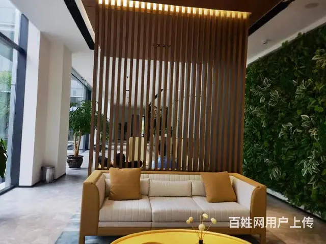 银湖科技城富春硅谷独栋商办，产证1800方送1千1百方院精装 - 图片 8
