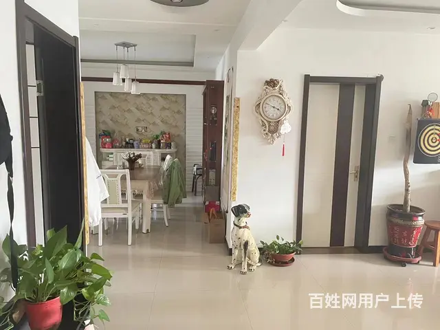 阳光国际 普通住宅 精装修 - 图片 2