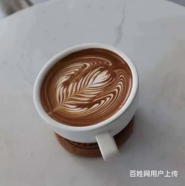 吴中咖啡师在哪里可以学习 - 图片 2