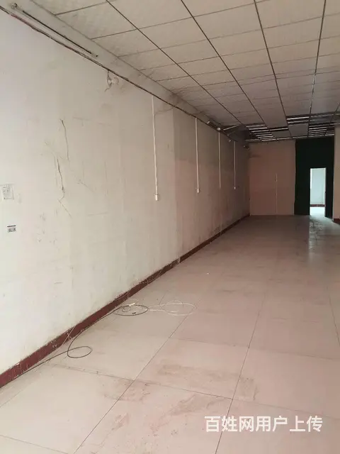 老城区春都路附近一楼商铺招租，可做任何行业餐饮除外，房东直租 - 图片 4