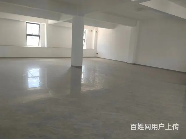 （51旺铺推荐）剑桥郡290平铺面房东直租 - 图片 7