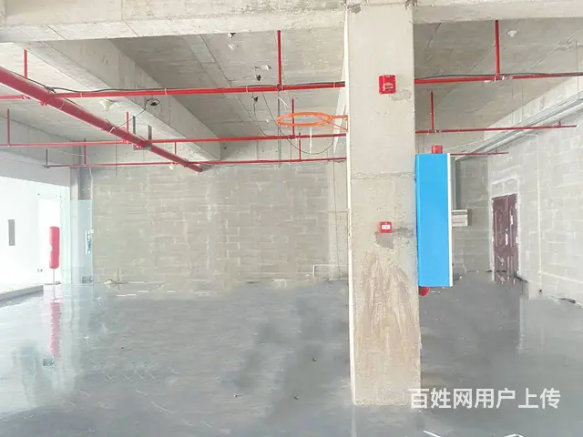 (房东直租)芙蓉东站旁丰兴产业园393平厂房/仓库/办公出租 - 图片 7