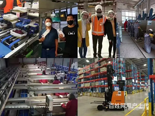 宜宾正规渠道国企援建项目出国打工做什么工作 - 图片 3
