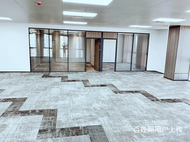 地铁口观音山  金谷广场  精装特价59元  多种面积 急租 - 图片 2