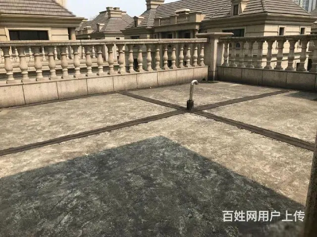 新出500平花园金新鼎邦别墅DU家有钥匙含博小和北 - 图片 6