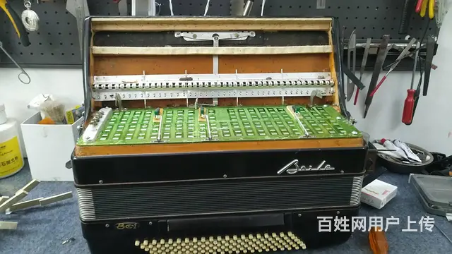 鹦鹉手风琴维修服务，专业百乐金杯鹦鹉手风琴维修 - 图片 1