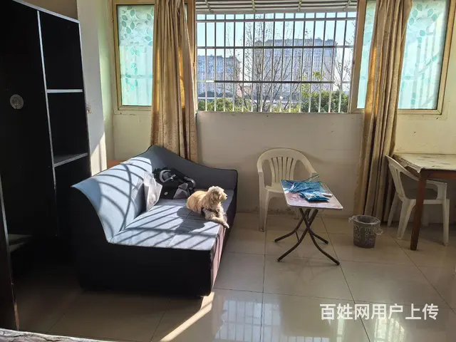近昆山出口加工区日本工业园仁宝立臻正新轮胎带阳台朝南主卧出租 - 图片 4