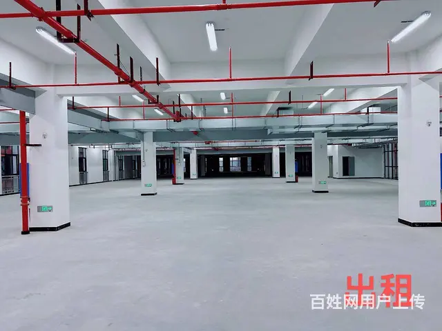 （老板本人）高新区全新标准厂房仓库招租  5849 - 图片 6