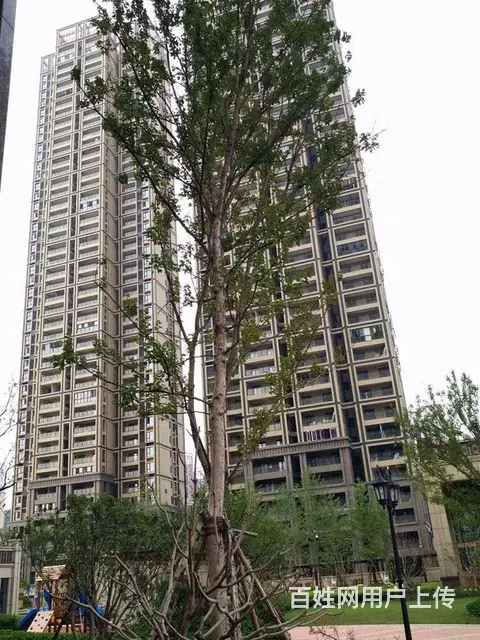 岳家嘴  正堂时代 中治南方 德成国贸 徐东 金禾 - 图片 12