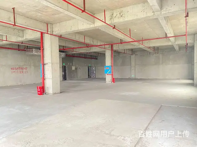 （房东直租）中青路佳海园区775平厂房优价出租，可分租 - 图片 3