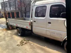 出售长安双排