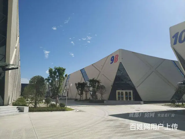 成都近城南优质工业园区，全新现房 - 图片 2