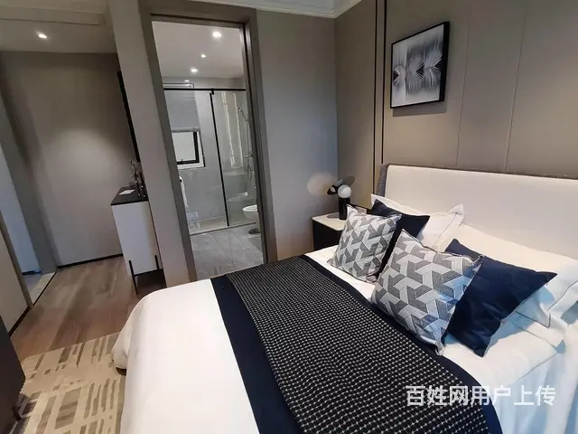 阳明府学旁！金鹏林溪书院！苏滁外国语！城东配套成熟核心位置 - 图片 9