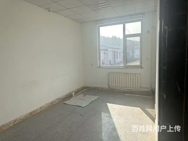 （新房源）张村前双岛村独门独院厂房招租 - 图片 10