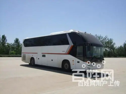宠物运输/义乌宠物托运（宿州宠物网 - 图片 6