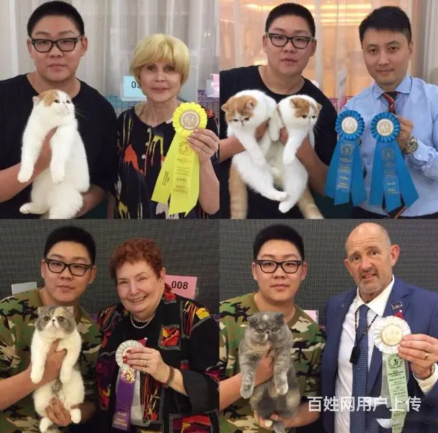 高端加菲猫CFA全国首家支持淘宝平台咸鱼送用品 - 图片 5